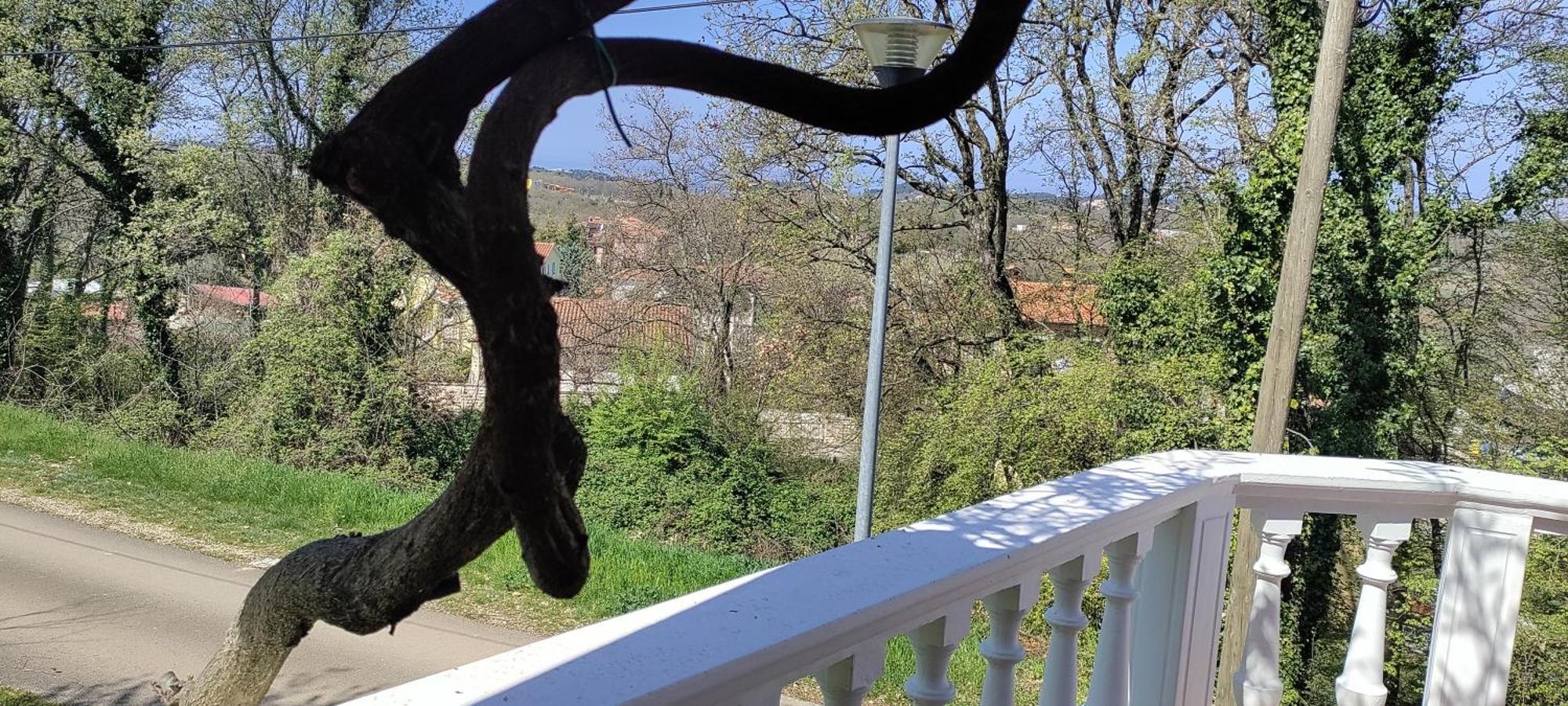 Vila Breskvar Mugeba Dış mekan fotoğraf